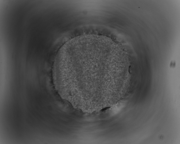 X0000102830192200809021322