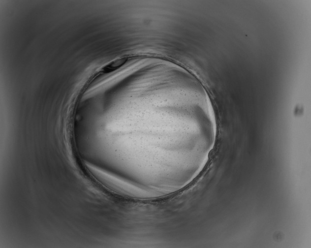 X0000102830193200809021321