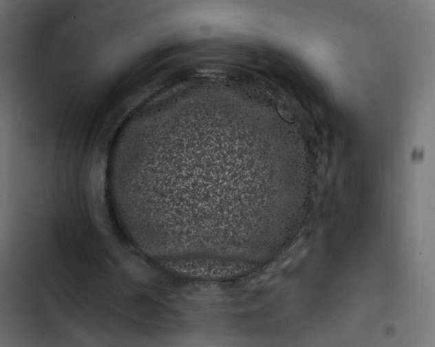 X0000102830194200809021321