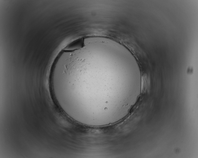 X0000102830195200809021321