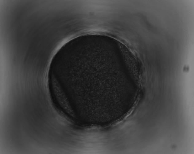 X0000102830196200809021321