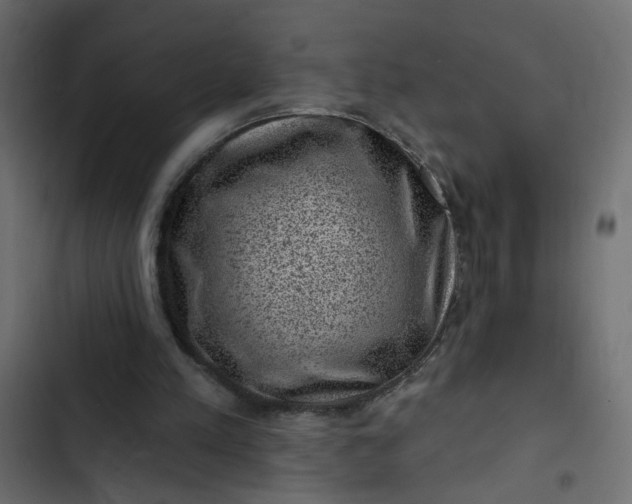 X0000102830197200809021321