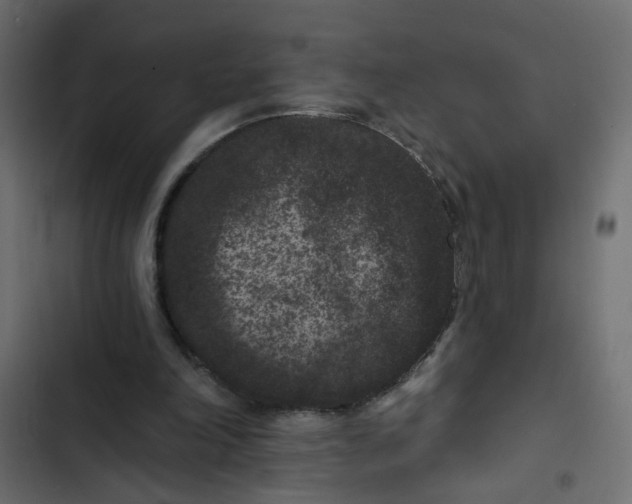 X0000102830198200809021321