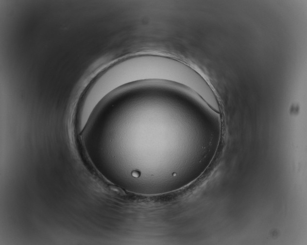 X0000102830199200809021321