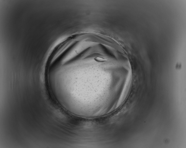 X0000102830200200809021321