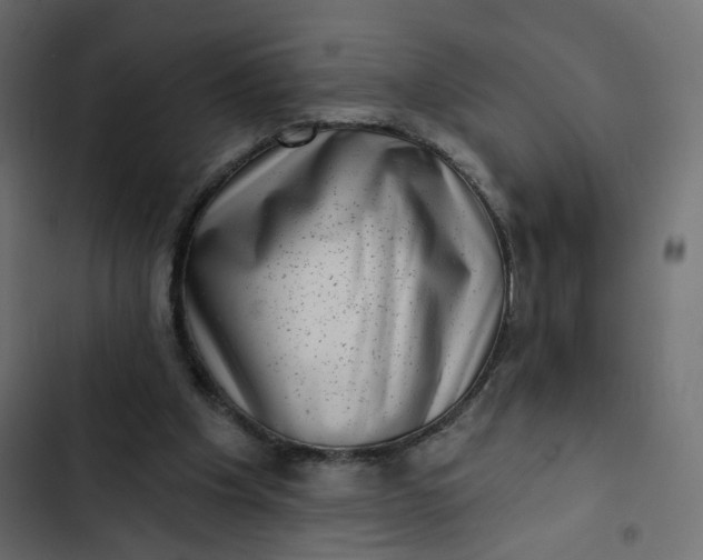 X0000102830201200809021321