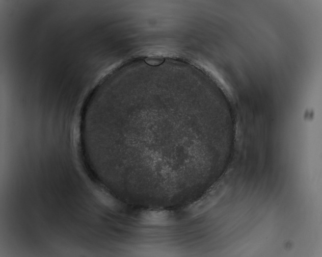 X0000102830202200809021321