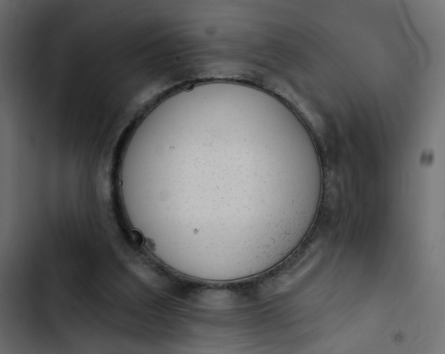 X0000102830203200809021321