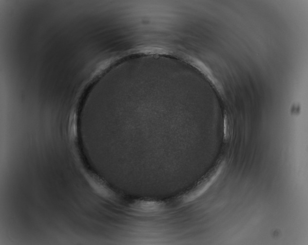 X0000102830205200809021321