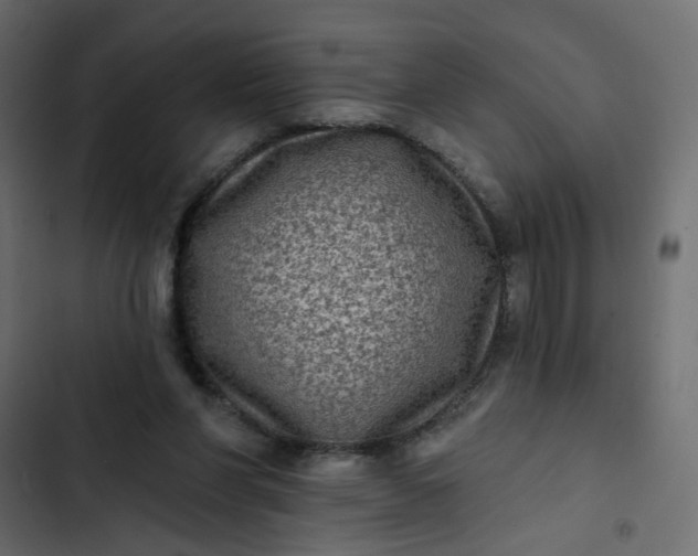 X0000102830206200809021321