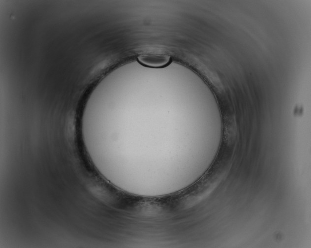 X0000102830207200809021321