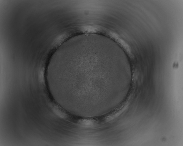 X0000102830209200809021321