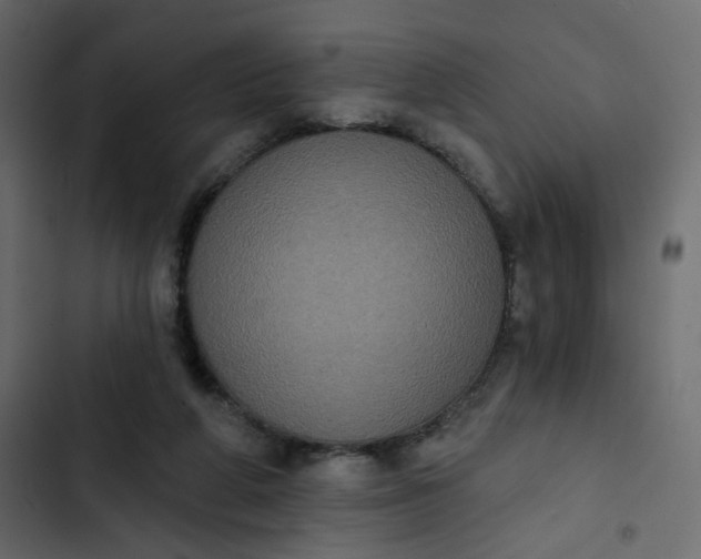 X0000102830210200809021321