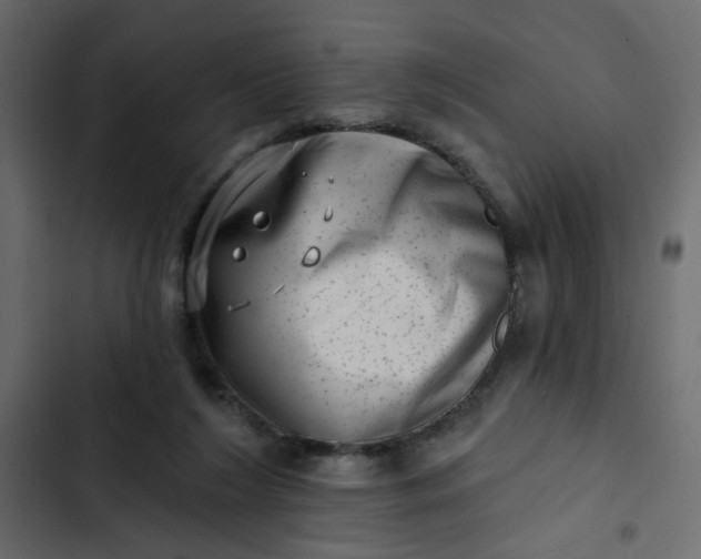 X0000102830212200809021321