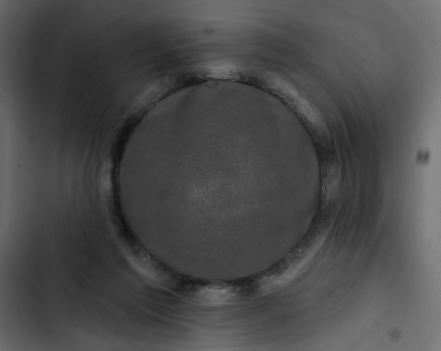 X0000102830213200809021321