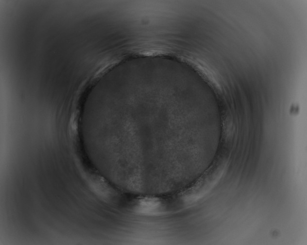 X0000102830214200809021321