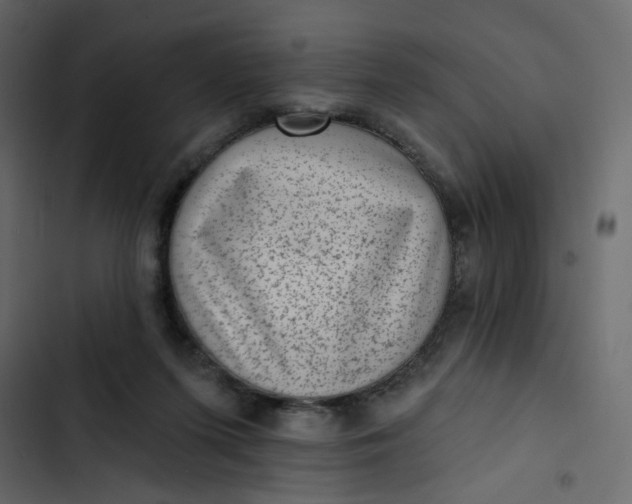 X0000102830215200809021321