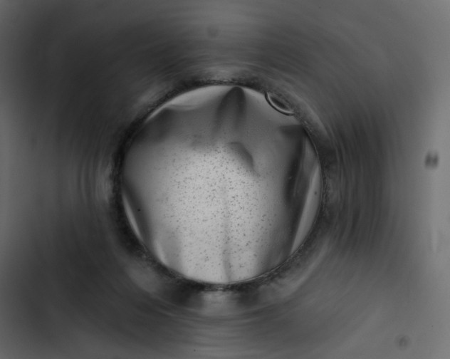 X0000102830216200809021321