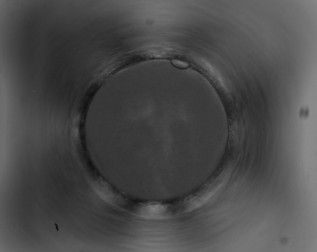 X0000102830217200809021321