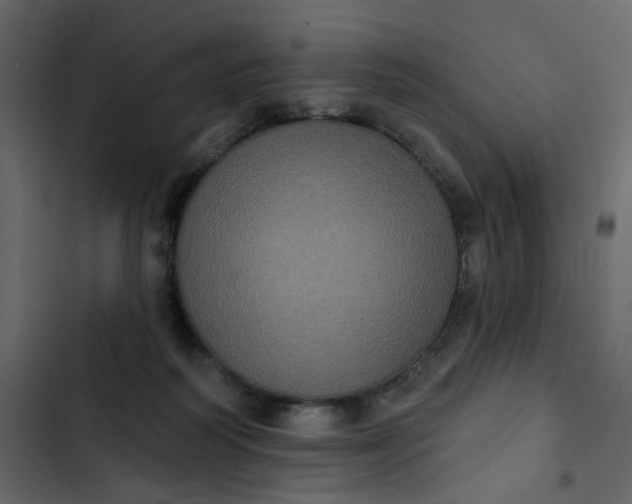 X0000102830218200809021321