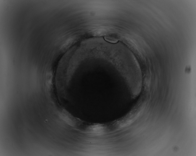 X0000102830219200809021321