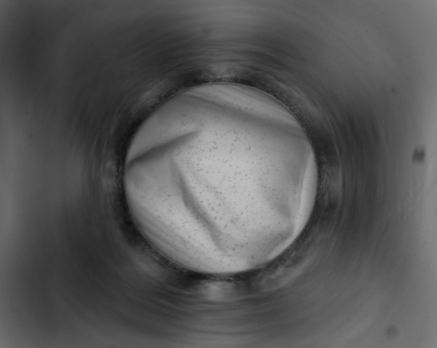 X0000102830220200809021321