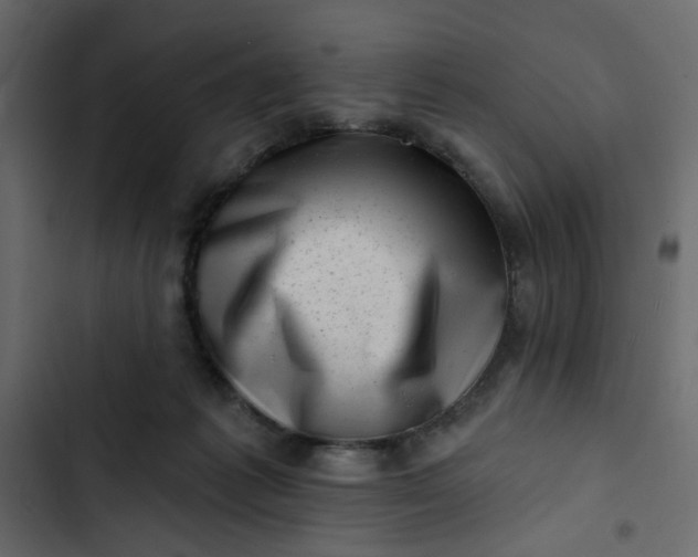 X0000102830221200809021321