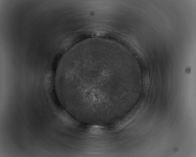 X0000102830222200809021321