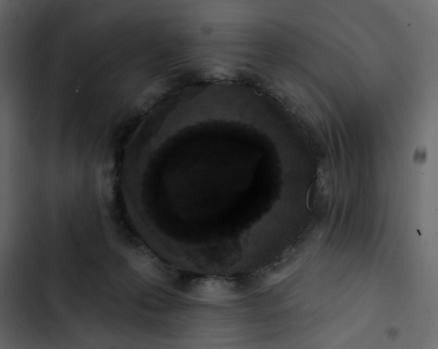 X0000102830223200809021321