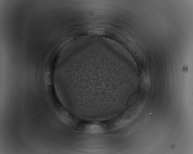 X0000102830224200809021321