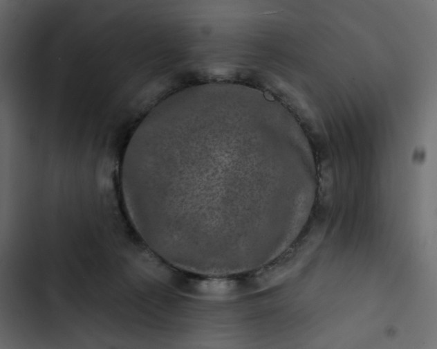 X0000102830225200809021321