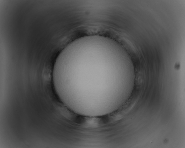 X0000102830226200809021321