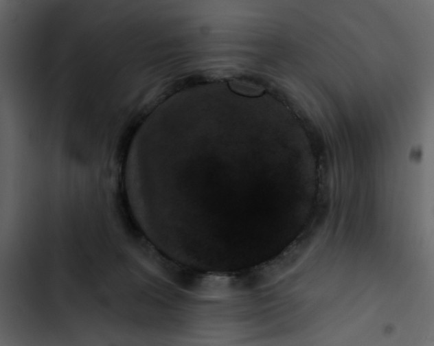 X0000102830227200809021321