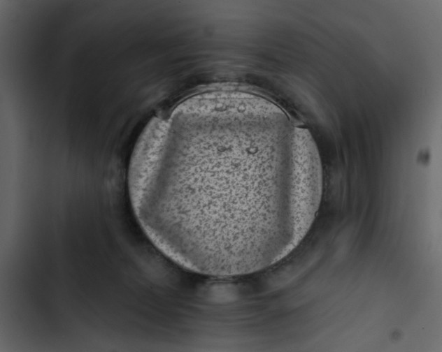 X0000102830228200809021321