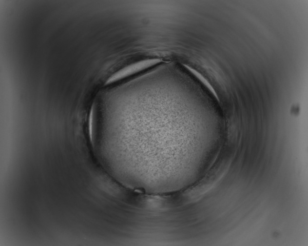 X0000102830229200809021321