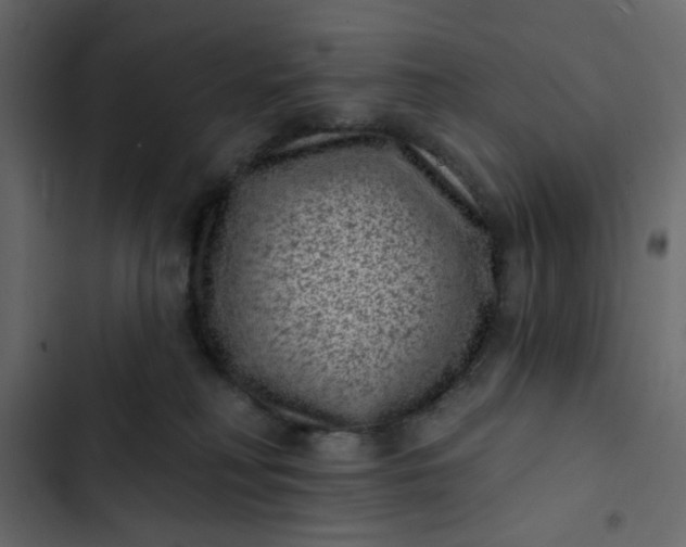 X0000102830230200809021321