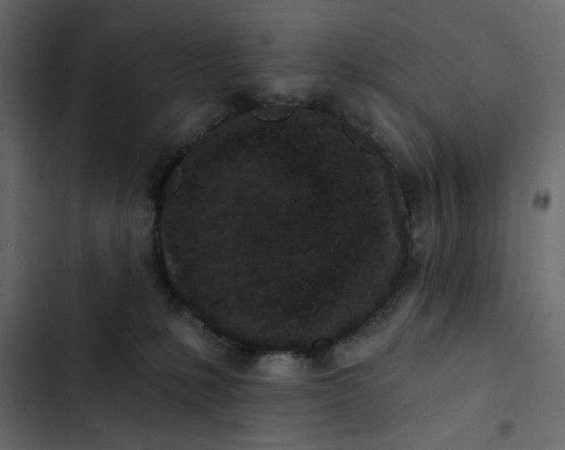 X0000102830231200809021321