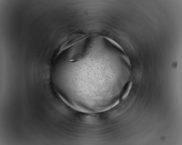 X0000102830232200809021321