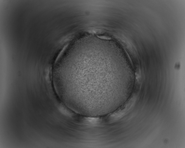 X0000102830233200809021321