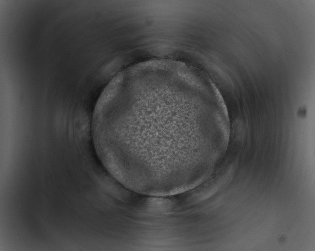 X0000102830234200809021321