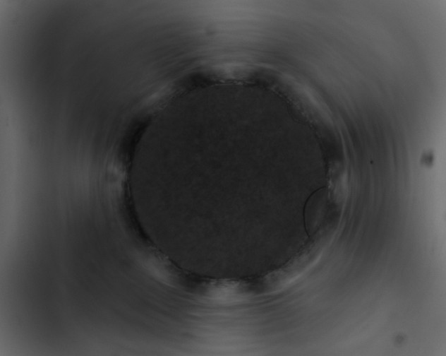 X0000102830235200809021321