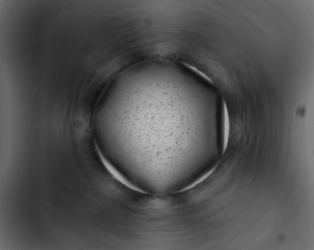 X0000102830236200809021321