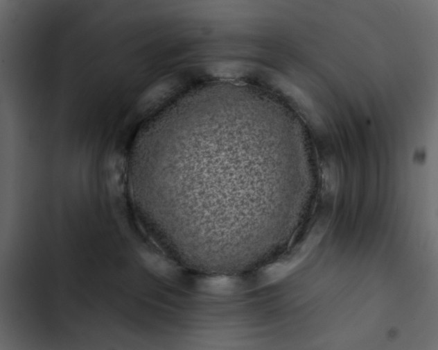 X0000102830237200809021321