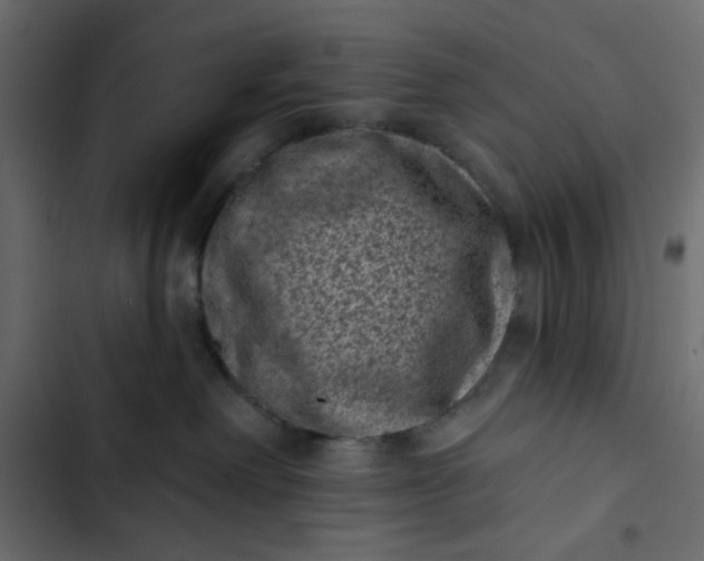 X0000102830238200809021321