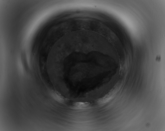 X0000102830239200809021320