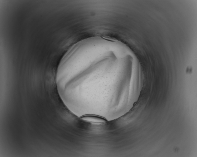 X0000102830240200809021320