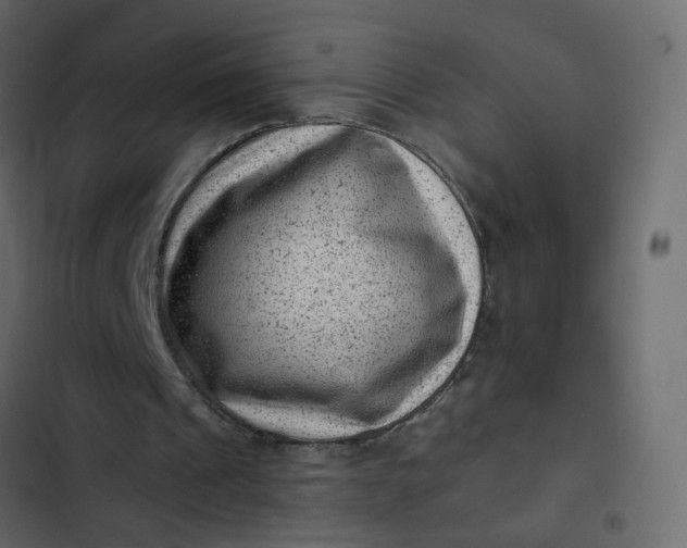 X0000102830241200809021320