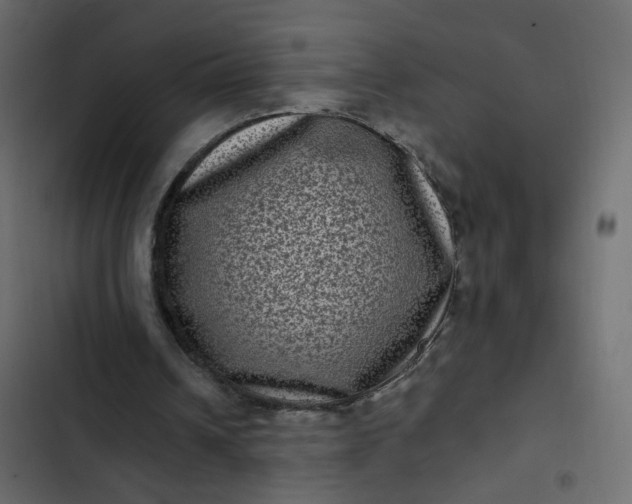 X0000102830242200809021320