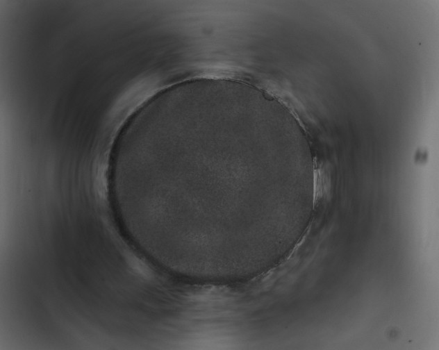 X0000102830243200809021320