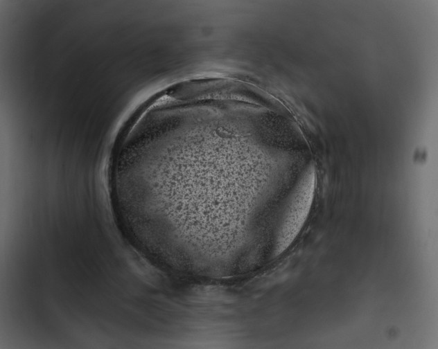 X0000102830244200809021320